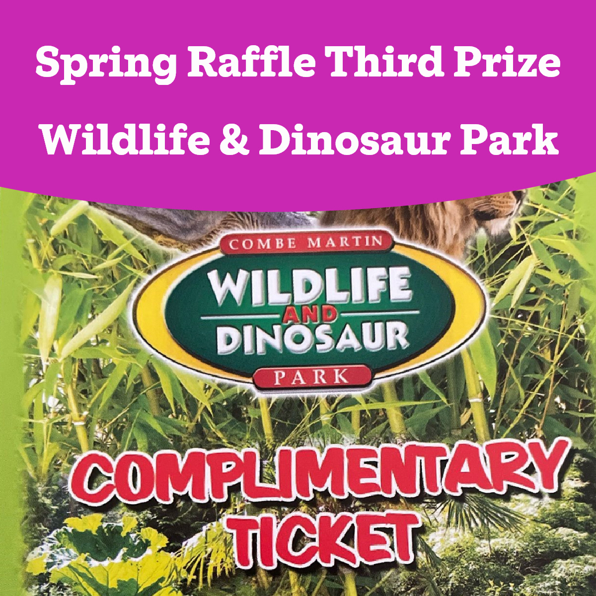 Coombe Martin Wildlife voucher